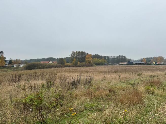 Działka usługowa Sulnówko gm. Świecie,