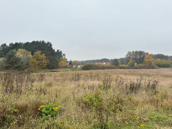 Działka usługowa Sulnówko gm. Świecie,