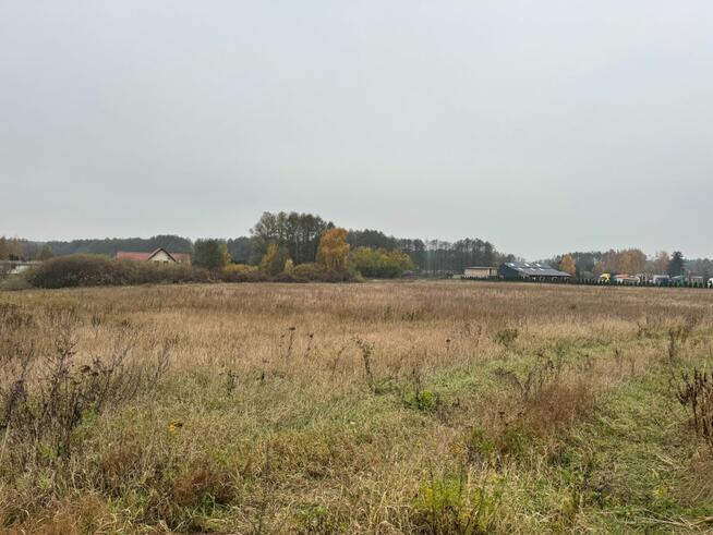 Działka usługowa Sulnówko gm. Świecie,