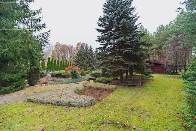 Działka budowlana Wiktorów gm. Leszno, Leśna