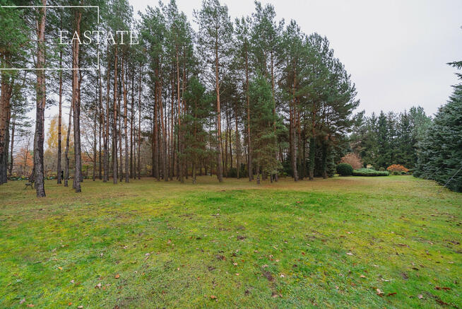 Działka budowlana Wiktorów gm. Leszno, Leśna