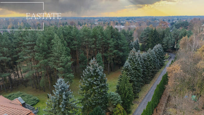 Działka budowlana Wiktorów gm. Leszno, Leśna