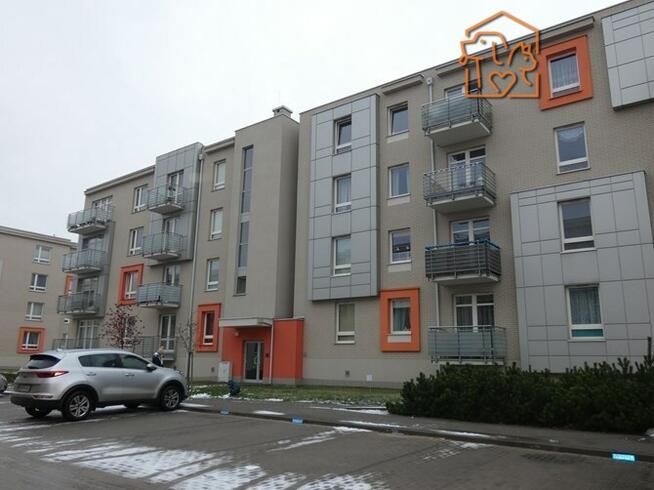 2 pokoje pet friendly, ogródek- Kołodzieja 57a