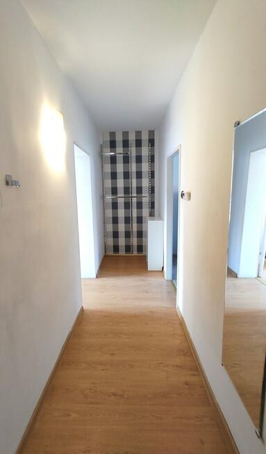 Przytulna kawalerka w centrum,pet friendly,Wallisa