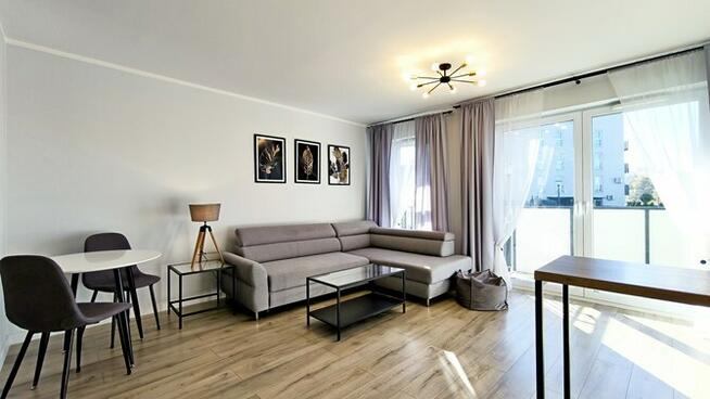 Wynajmę 3 pokoje, pet friendly, Chrobrego 14