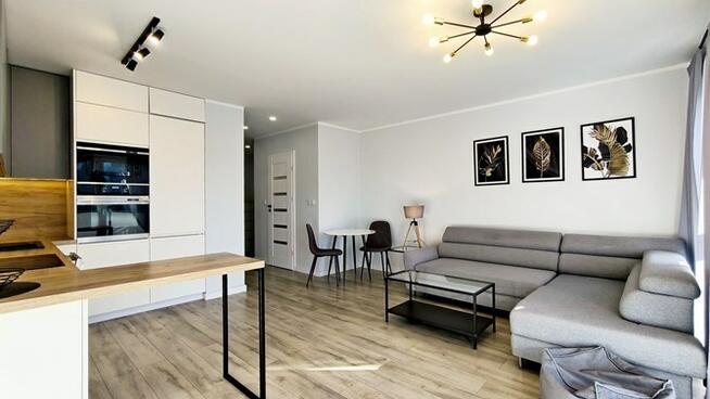 Wynajmę 3 pokoje, pet friendly, Chrobrego 14