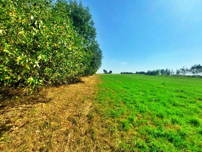 Siedlisko z potencjałem – 0,65 ha działki z zabudowaniami, G