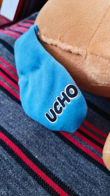 Zabawka piesek interaktywny edukacyjny