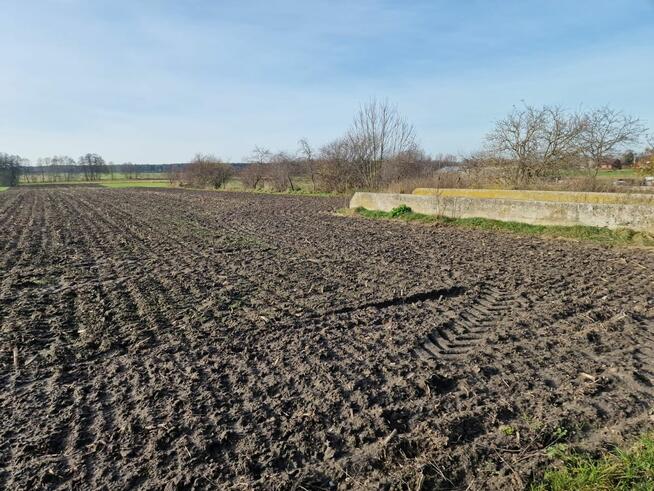 Działki rolne na sprzedaż - Biskupice, gm. Grodziec