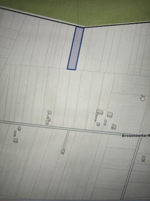 Sprzedam działkę rolną, nieużytek rolny zalesiony