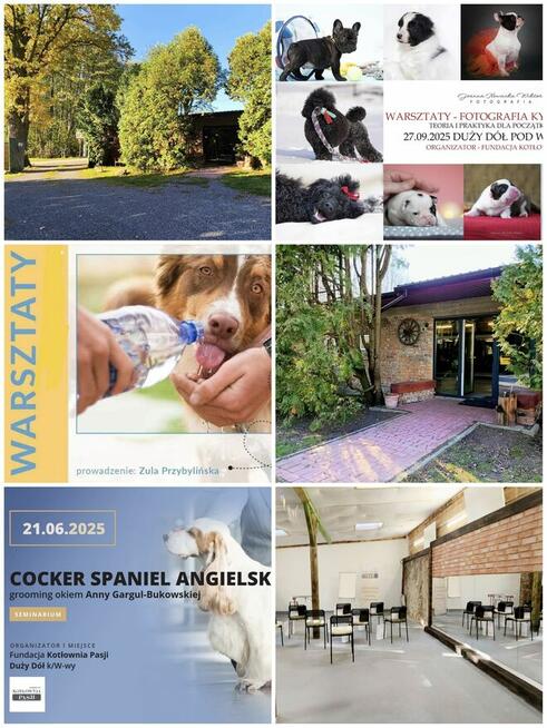 SZKOLENIE GŁÓWKOWE dla groomerów!