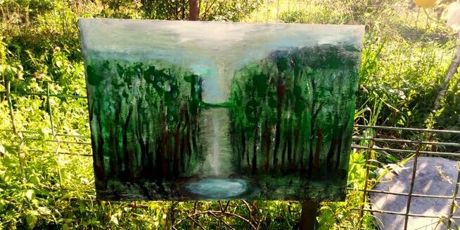 cichy las z jesiorkiem duży obraz