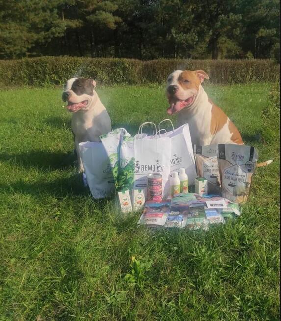 SZKOLENIE behawioralno - handlingowe PSÓW