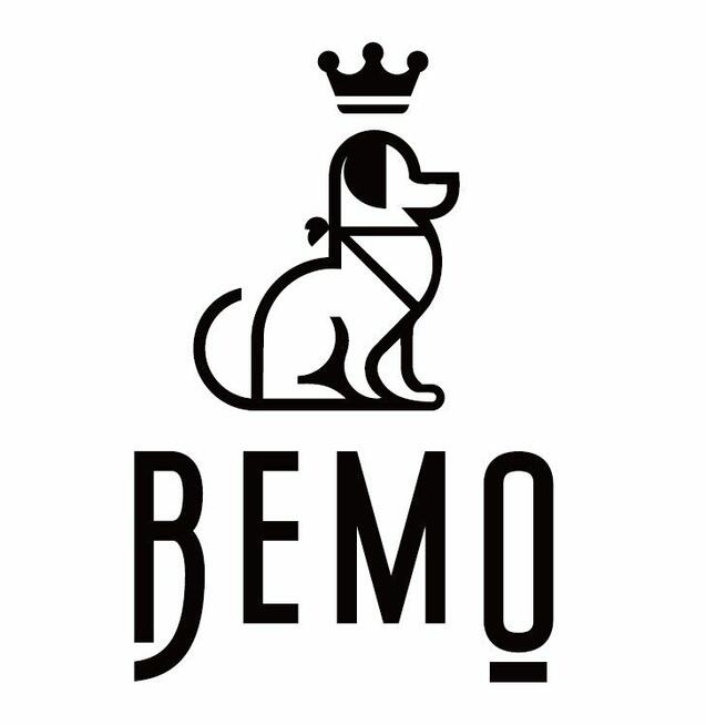 SZKOLENIE GŁÓWKOWE dla groomerów!