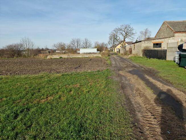 Działki rolne na sprzedaż - Biskupice, gm. Grodziec