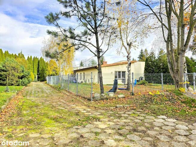 Nieruchomość Inwestycja! | 572m 2 | Działka 5053 m2