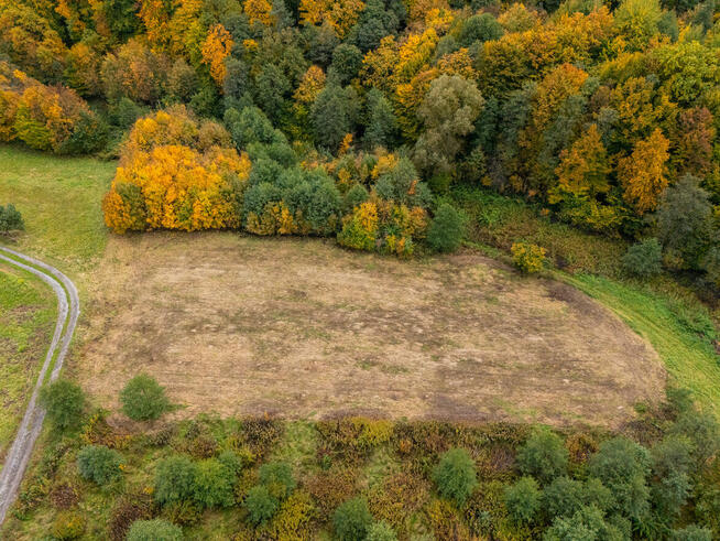 Działka pod lasem 16,80 ar z warunkami zabudowy