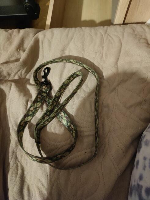 Wyprawka dla szczeniaka dużej/średniej rasy