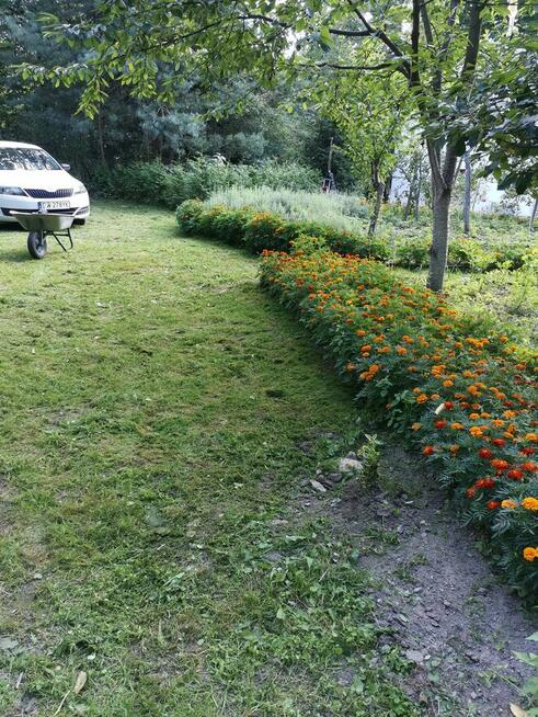 Sprzedam działkę budowlaną z domem całorocznym przy lesie