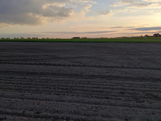 Dzierżawa ziemi rolnej 3000 m2 Gliwice Ostropa