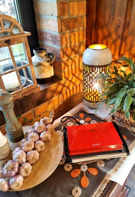 Elektryczny Grill elektryczny Zilner ZL-510/ZL-520 opiekacz