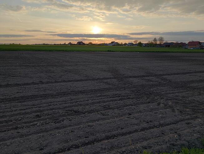 Dzierżawa ziemi rolnej 3000 m2 Gliwice Ostropa