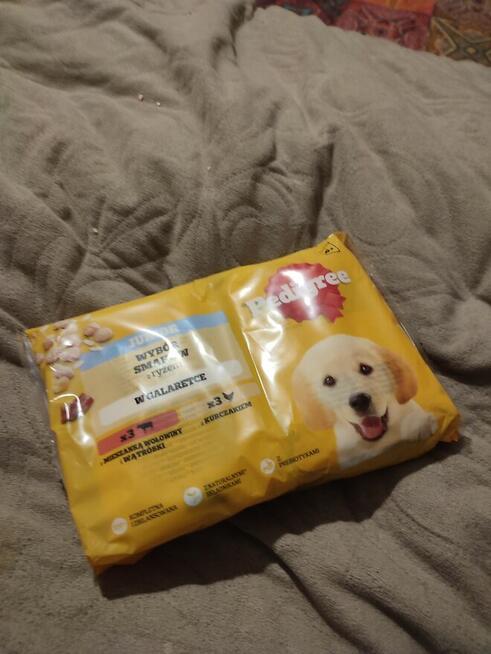 Wyprawka dla szczeniaka dużej/średniej rasy