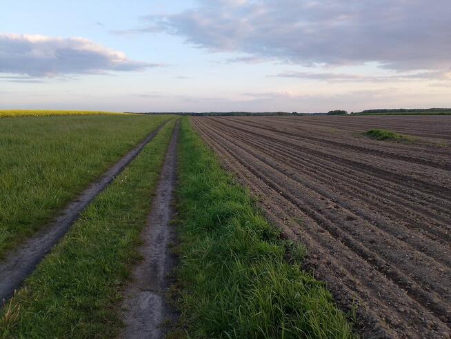 Dzierżawa ziemi rolnej 3000 m2 Gliwice Ostropa