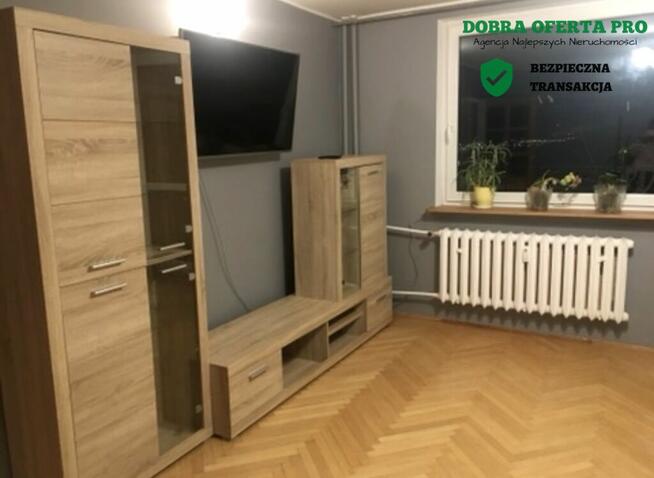 ielony azyl w Gdańsku – widok na las