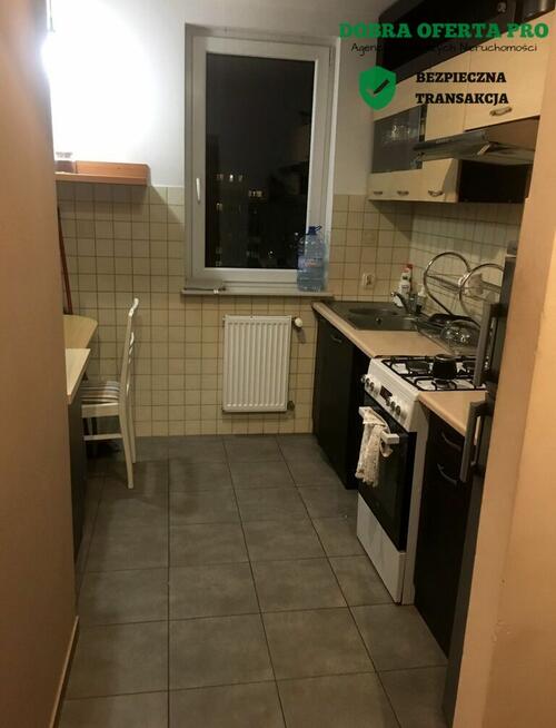 ielony azyl w Gdańsku – widok na las