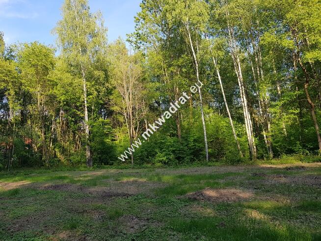 ⭐⭐⭐⭐⭐ Blisko WKD | media | cicha i słoneczna ⭐⭐⭐⭐⭐