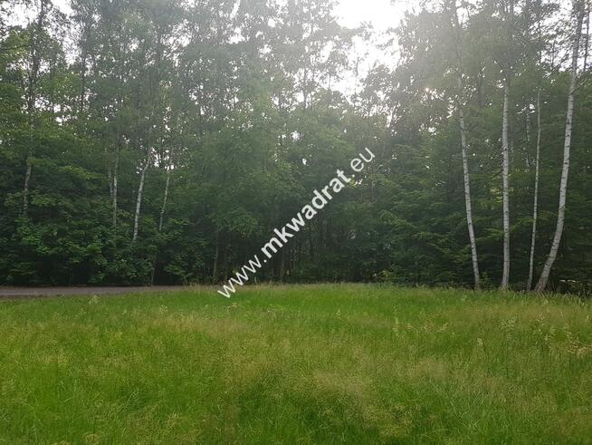 ⭐⭐⭐⭐⭐ Blisko WKD | media | cicha i słoneczna ⭐⭐⭐⭐⭐