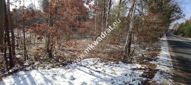 ⭐⭐⭐⭐⭐ Ładna zalesiona działka z MPZP ⭐⭐⭐⭐⭐