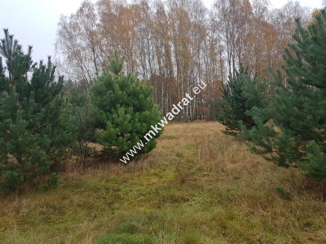 ⭐⭐⭐⭐Urokliwa działka przy lesie MPZP Media ⭐⭐⭐⭐