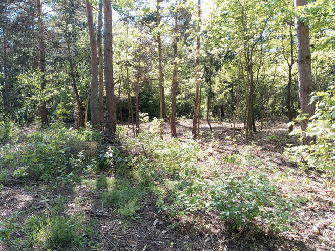 ⭐⭐⭐⭐⭐ Działka w okolicy Hotelu Afrodyta ⭐⭐⭐⭐⭐