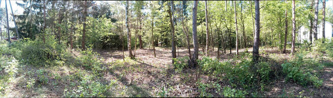 ⭐⭐⭐⭐⭐ Działka w okolicy Hotelu Afrodyta ⭐⭐⭐⭐⭐