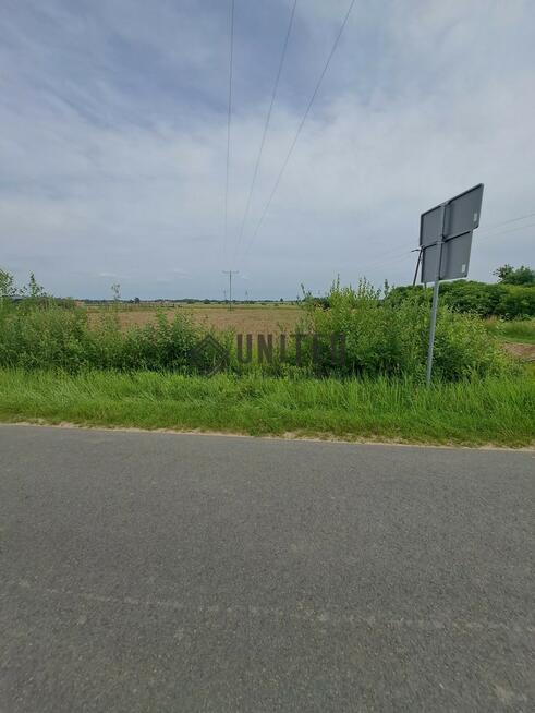 Działki w Jagoszycach niedaleko Prusic