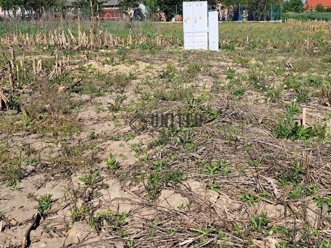 Działki w Jagoszycach niedaleko Prusic