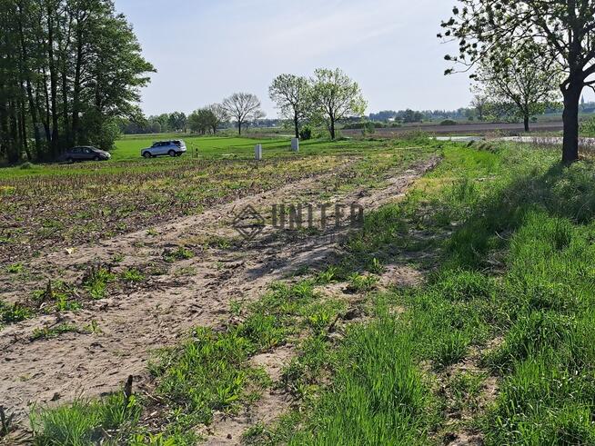 Działki w Jagoszycach niedaleko Prusic