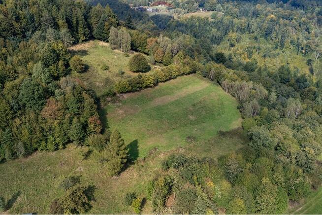 Widok na góry i jezioro międzybrodzkie i żywieckie