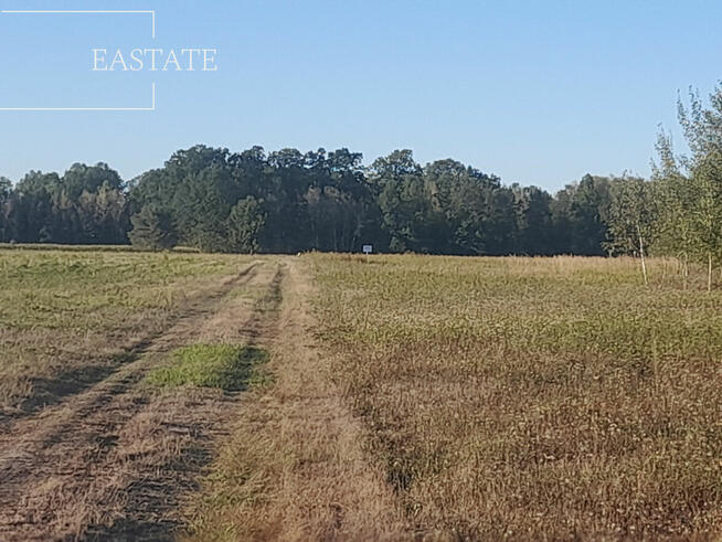 Działka budowlana Prażmów,