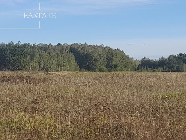 Działka budowlana Prażmów,