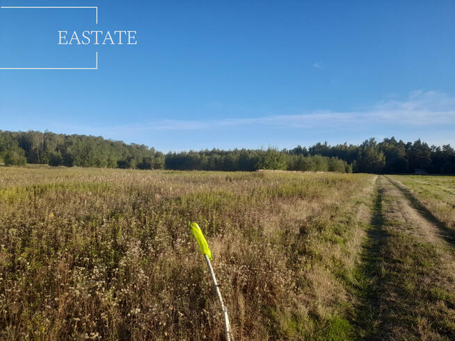 Działka budowlana Prażmów,