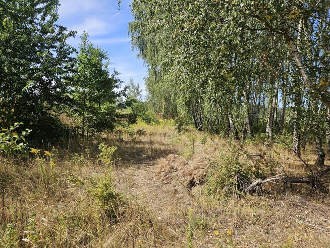 Działka budowlana Stara Wieś gm. Nadarzyn,