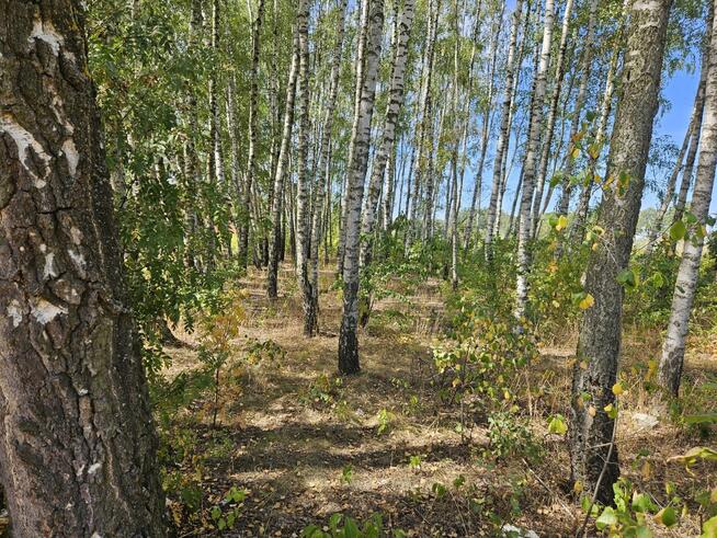 Działka budowlana Stara Wieś gm. Nadarzyn,