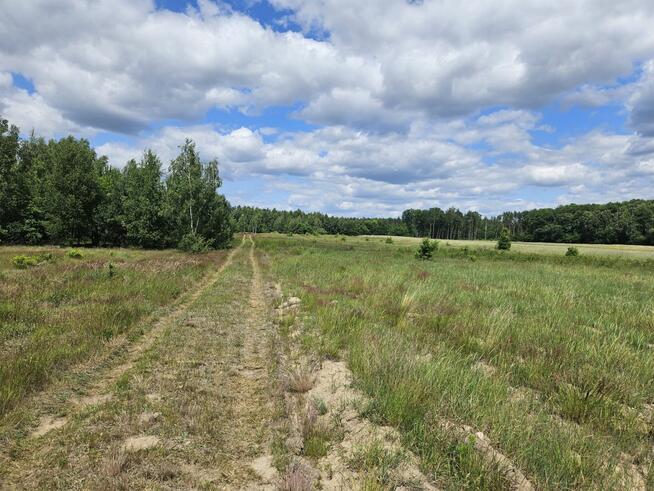 Działka budowlana Stare Wrońska gm. Załuski,