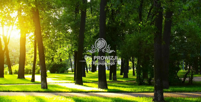 Piękne mieszkanie z balkonem w zielonej i spokojnej okolicy