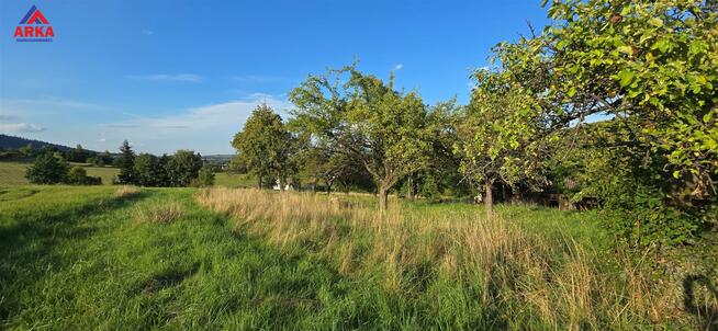 Działka rolna Skrzydlna gm. Dobra