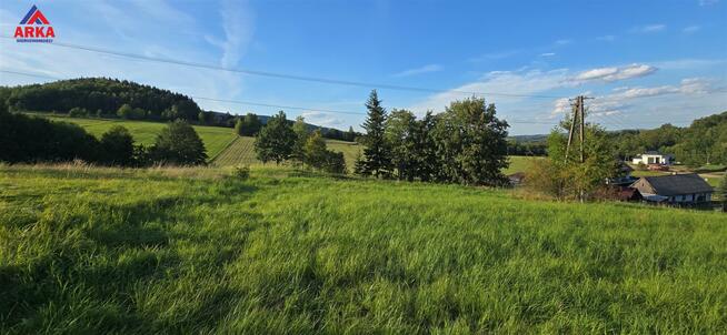Działka rolna Skrzydlna gm. Dobra