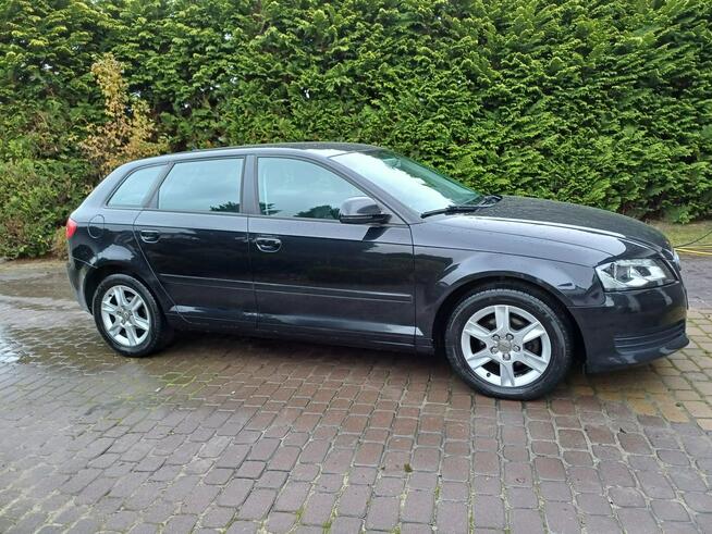 Audi A3 zadbany, bardzo dobry stan